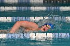 Swimming vs Babson  Wheaton College Swimming & Diving vs Babson College. - Photo By: KEITH NORDSTROM : Wheaton, Swimming